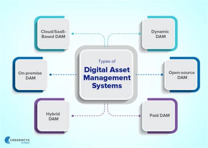 Exploring My Desinet.in: Your Ultimate Digital Management Platform
