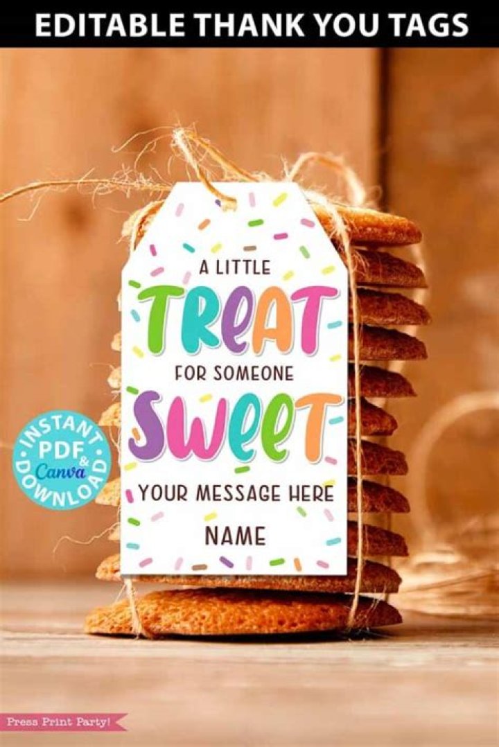 Mamie Lincoln Ices: The Sweet Treat That Captures Hearts