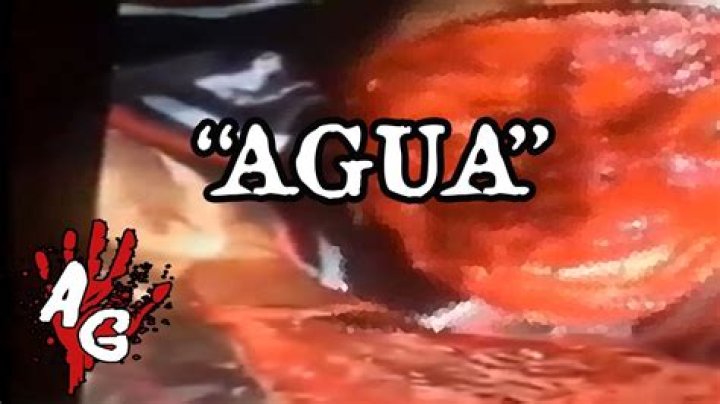 Understanding "Quiero Agua Gore": A Comprehensive Guide