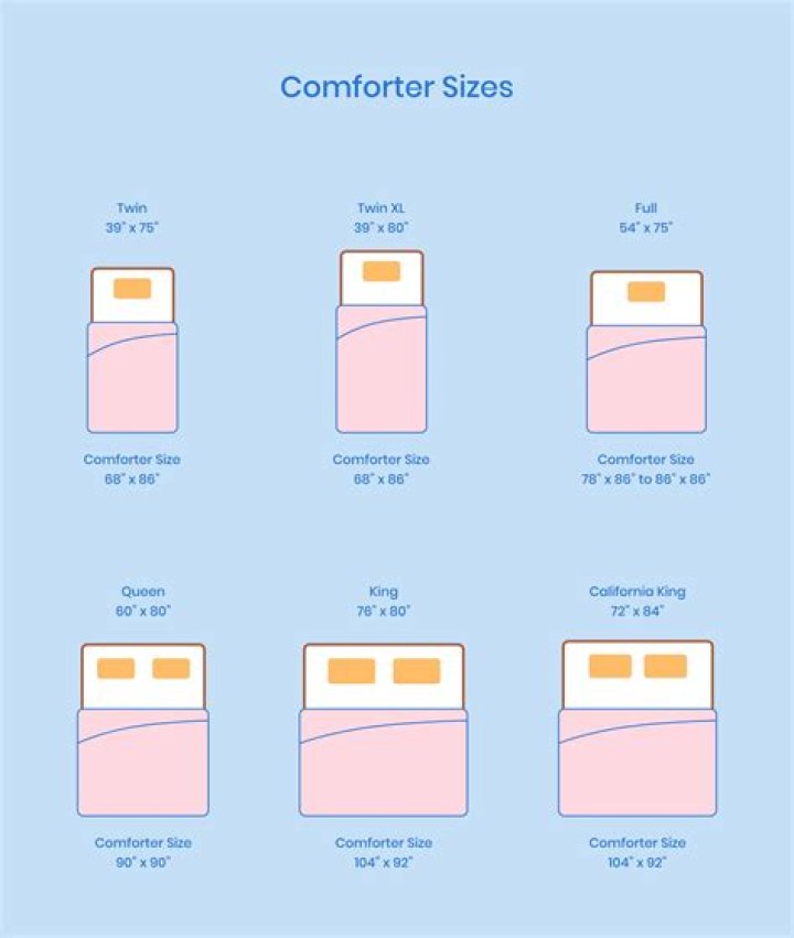 Unveiling the Comfort of Bed Theory Co Comforter: Your Ultimate Guide