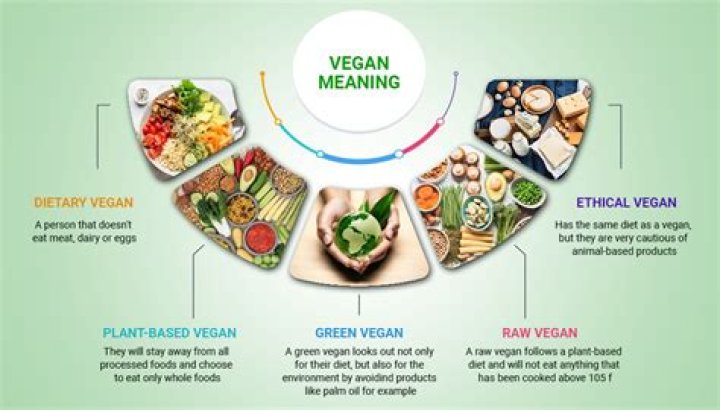 What is Veganism? A Comprehensive Guide to the Vegan Lifestyle